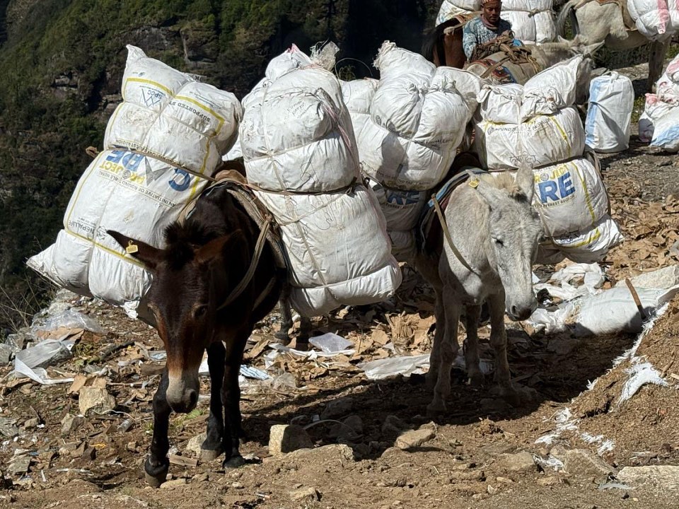 5,000 kilos of waste removed from Everest under Project Care